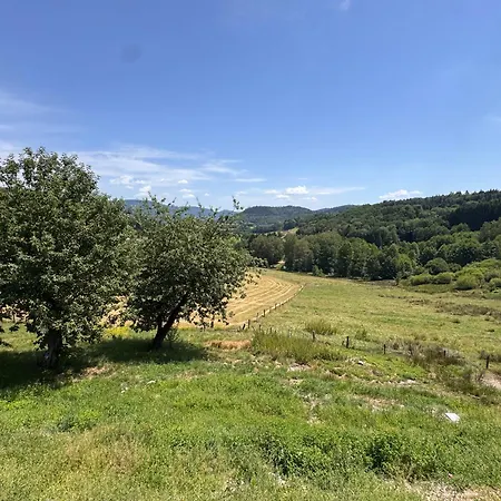 La Tinou * Saint-Nabord
